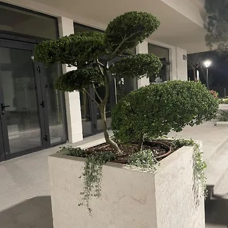 Sunny Azur Apartman Szent Konstantin és Elena